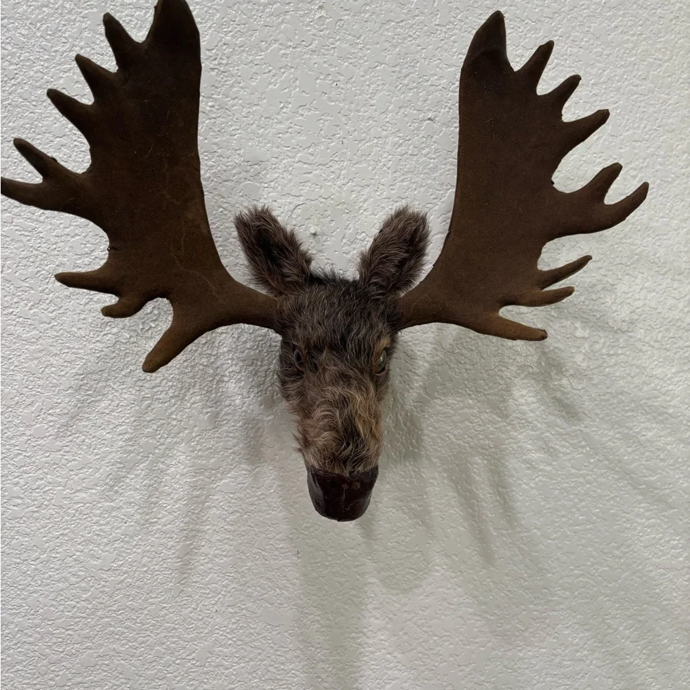 Brown Moose Head Wall Decor